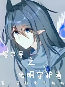 塞尔号之光明守护者