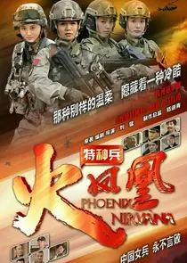 特种兵之辰安