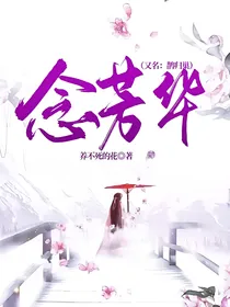 念芳华（又名：鹊归巢）