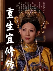 重生宜修传