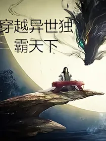 穿越异世独霸天下