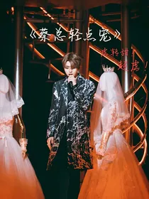 蔡总轻点宠我