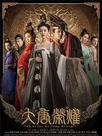 大唐荣耀后续集