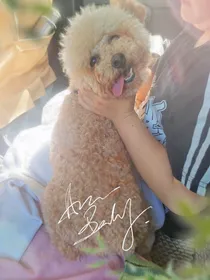 我的小可爱一一狗狗