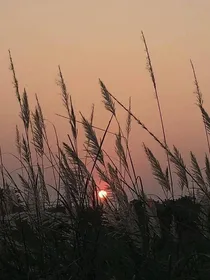 百味文案