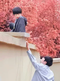 无止境的爱