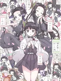 鬼灭之刃：我为花柱——蝴蝶香奈惠