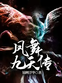 凤舞九天传