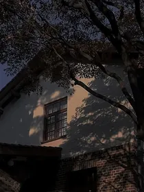 凌寒墨与小沐沐