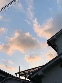 寻梦似醉：窝囊废的生存日记