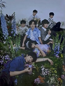 TNT小短篇合集