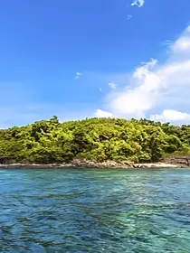 奇异世界探险历程外传荒岛求生
