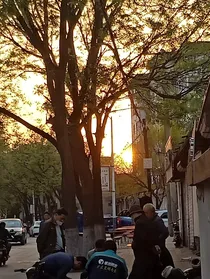 橙色年代
