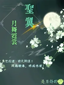 圣翼：月舞霓裳
