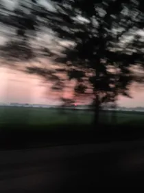 给你的独白