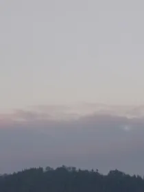 无心的存在