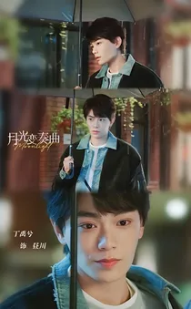 月光变奏曲：狐狸君的小野猫