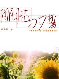 向阳花的夕誓