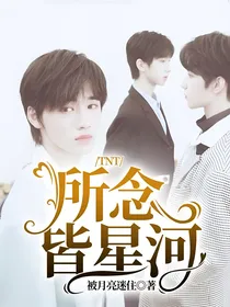 TNT所念皆星河
