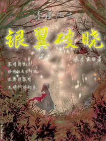查理九世之银翼破晓