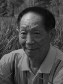 逝者安息，袁隆平享年91岁