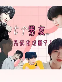7个男朋友的系统化攻略