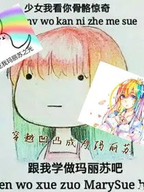 穿越凹凸成为玛丽苏