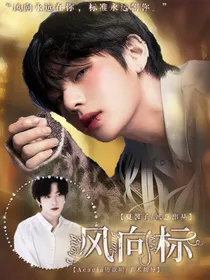 BTS：风向标