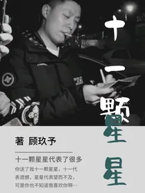 十一颗星星