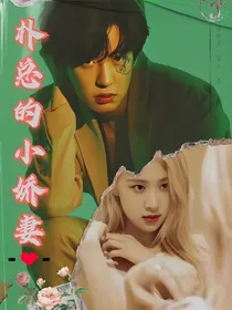 朴总小娇妻