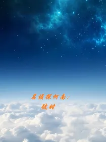 名侦探柯南：彼时萤火