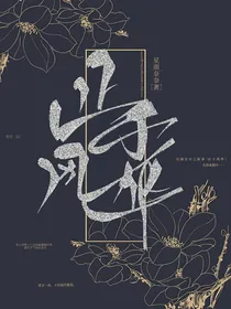 止于风华