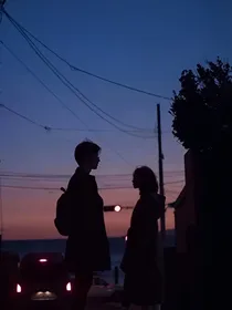 枯死的向日葵
