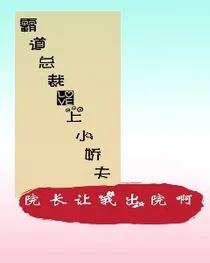 霸道总裁爱上小娇夫