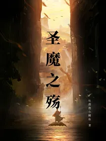 圣魔之殇