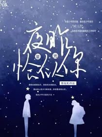 昨夜星光恰似你