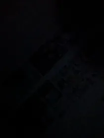 恐女的我穿越异世界却成为了后宫王