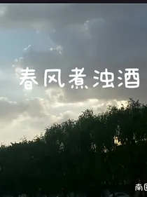 春风煮浊酒