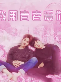 我用青春爱你