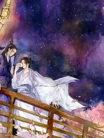穿越王妃记1