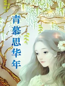 青慕思华年