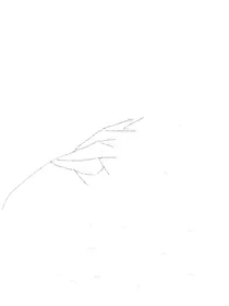 即兴创作的作品