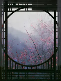 tf家族二代落香斋语