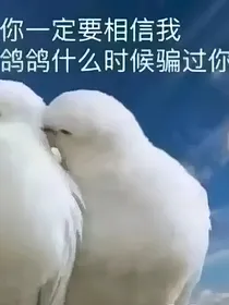 长辈们的爱恨情仇