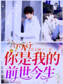 TNT：你是我的前世今生