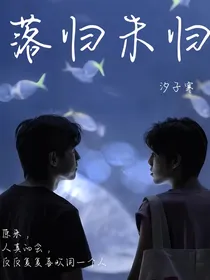 落归未归