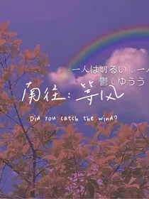 南往：等风