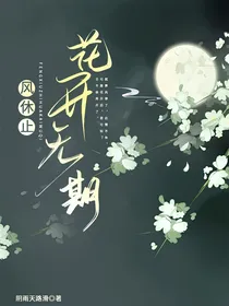 风休止花开无期（双重生）