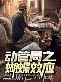 动管局之蝴蝶效应