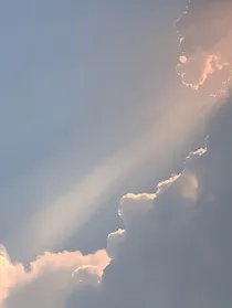 满天星.